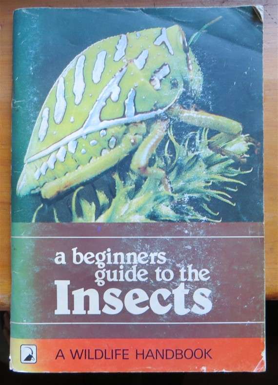 A beginners Guide to the Insects - Wildlife A5 Softcover