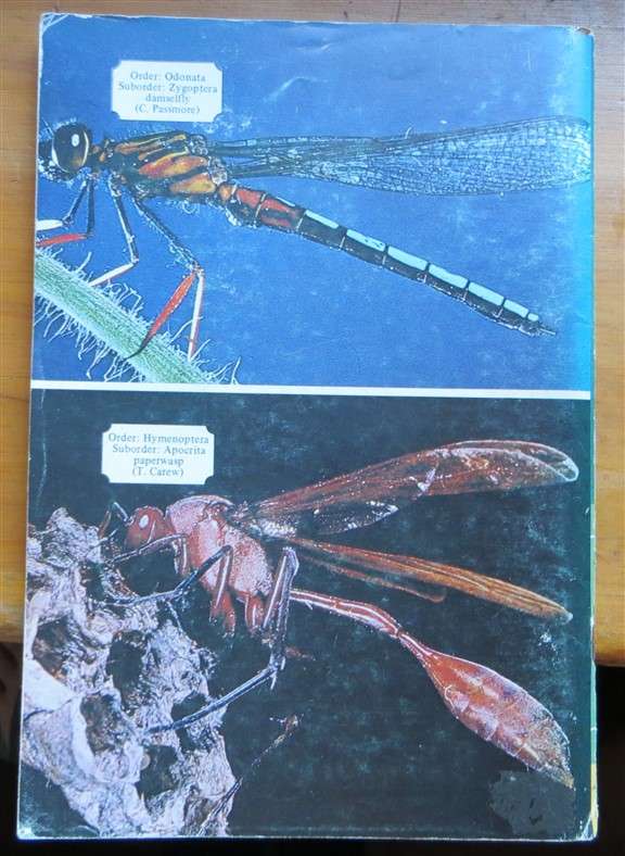 A beginners Guide to the Insects - Wildlife A5 Softcover