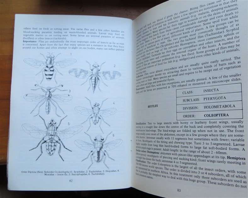 A beginners Guide to the Insects - Wildlife A5 Softcover
