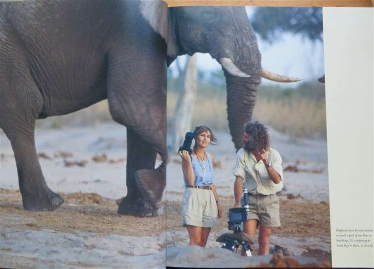 The Africa Diaries - Derek & Beverley Joubert - Illustrated Memoir