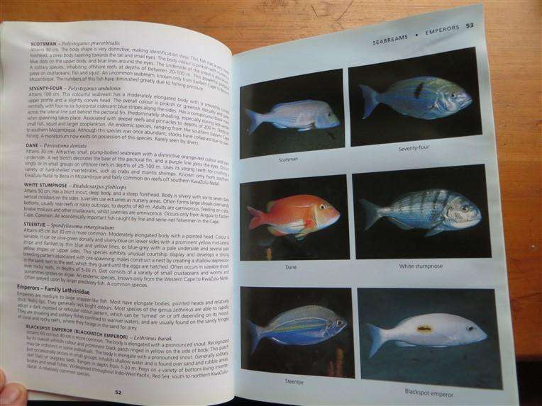 Reef Fishes & Nudibranches - Dennis King& Valda Fraser - Has got wet previously but all intact