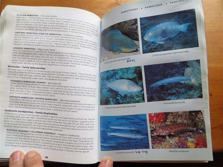 Reef Fishes & Nudibranches - Dennis King& Valda Fraser - Has got wet previously but all intact