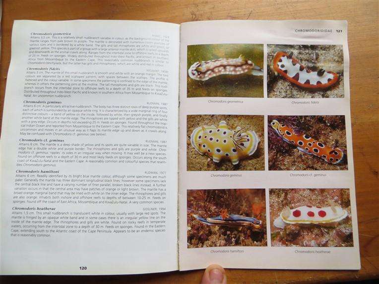 Reef Fishes & Nudibranches - Dennis King& Valda Fraser - Has got wet previously but all intact