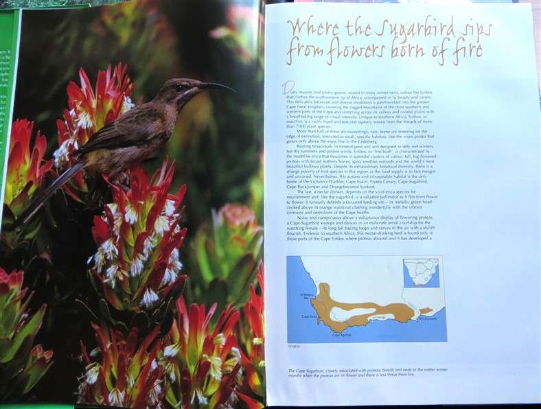 Spectacular World of Southern African Birds - A4 Hardcover