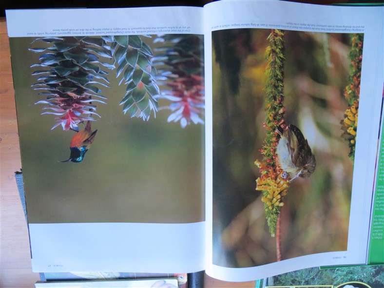 Spectacular World of Southern African Birds - A4 Hardcover