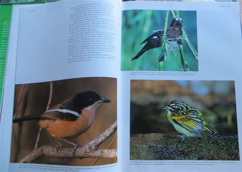 Spectacular World of Southern African Birds - A4 Hardcover