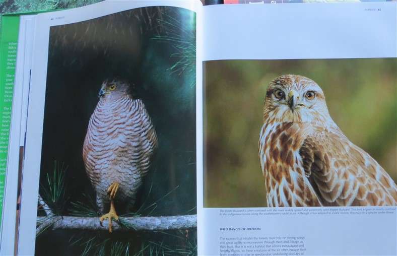Spectacular World of Southern African Birds - A4 Hardcover