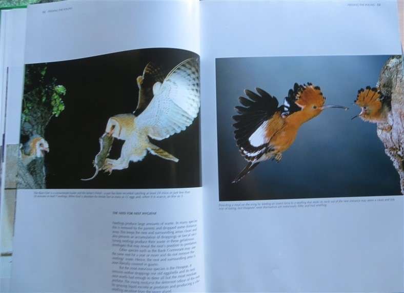 Spectacular World of Southern African Birds - A4 Hardcover