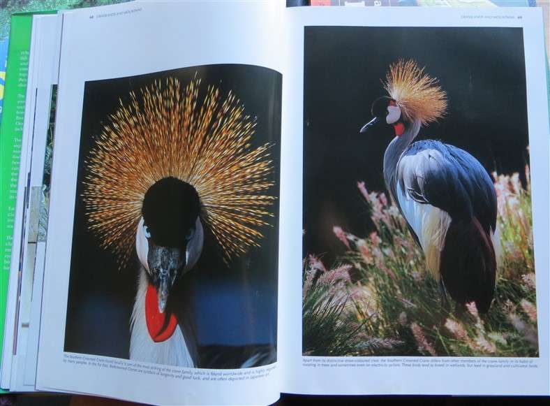 Spectacular World of Southern African Birds - A4 Hardcover