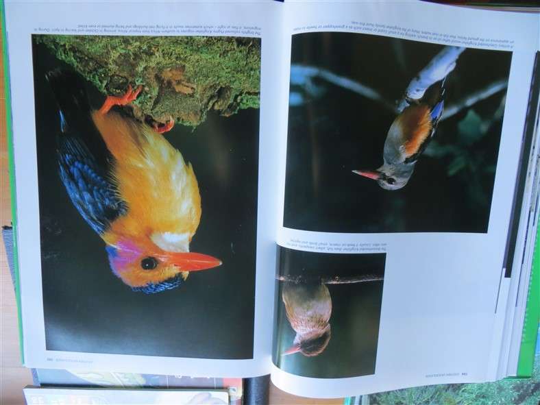 Spectacular World of Southern African Birds - A4 Hardcover