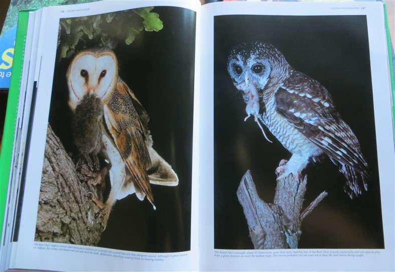 Spectacular World of Southern African Birds - A4 Hardcover