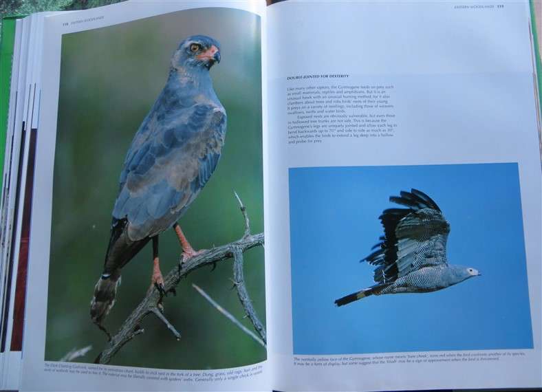 Spectacular World of Southern African Birds - A4 Hardcover