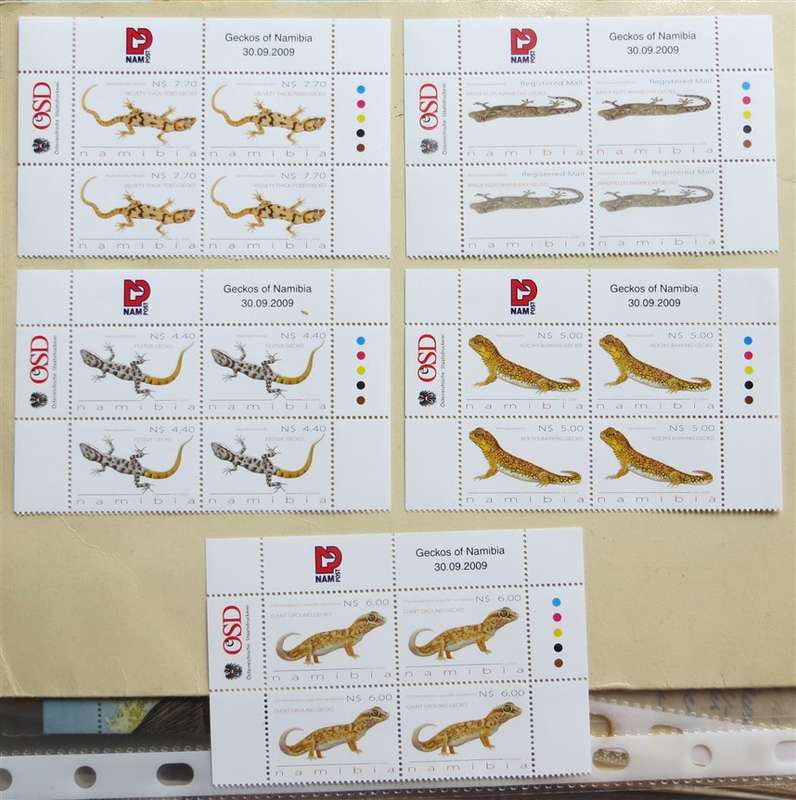 Geckos of Namibia Set in Control Blocks