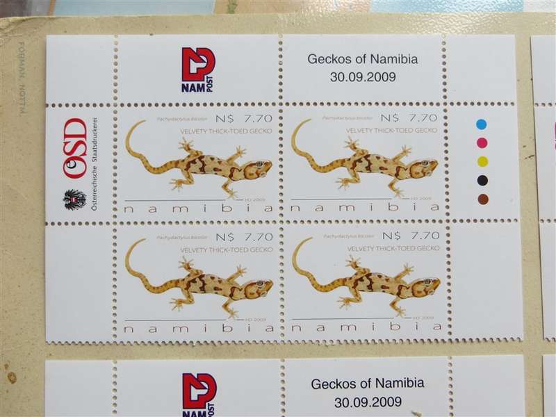Geckos of Namibia Set in Control Blocks