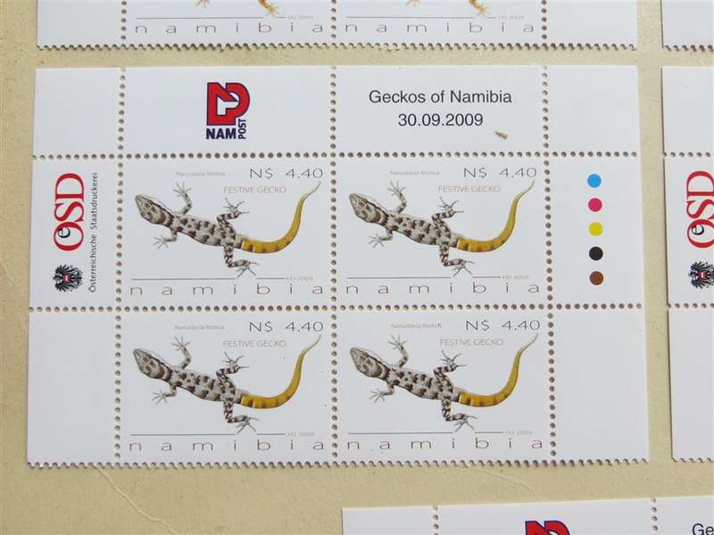 Geckos of Namibia Set in Control Blocks