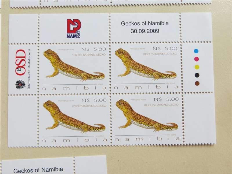 Geckos of Namibia Set in Control Blocks