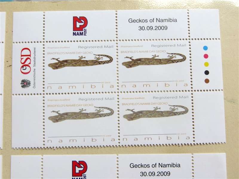 Geckos of Namibia Set in Control Blocks