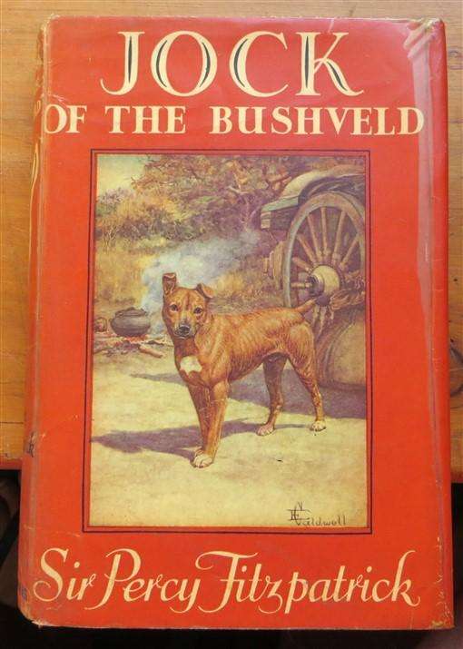 Jock of the Bushveld - Sir Percy Fitzpatrick - Illustrated E.Caldwell - foxing present