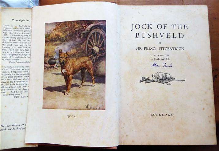 Jock of the Bushveld - Sir Percy Fitzpatrick - Illustrated E.Caldwell - foxing present