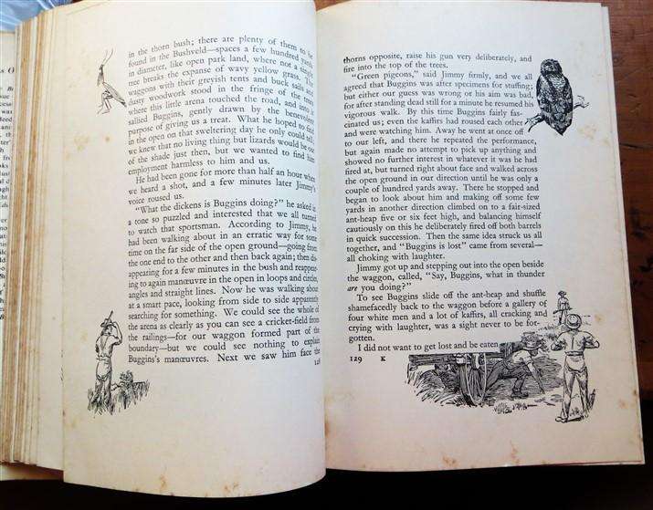Jock of the Bushveld - Sir Percy Fitzpatrick - Illustrated E.Caldwell - foxing present