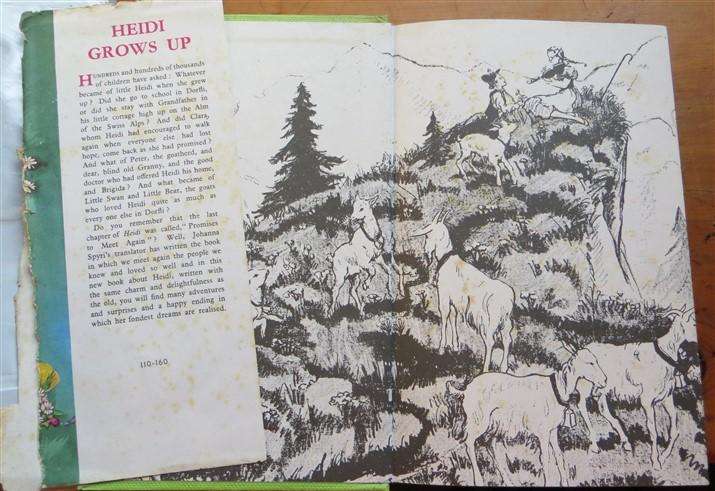 Heidi Grows Up - Johanna Spyri - Illustrated