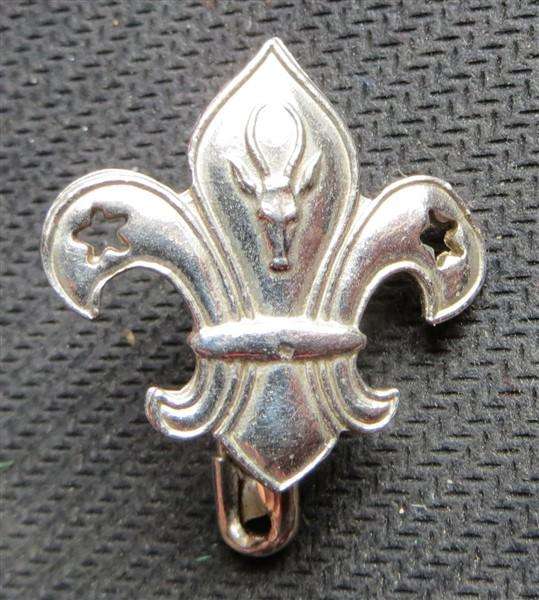 SA Scout Badge