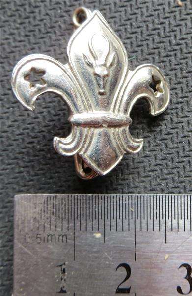 SA Scout Badge