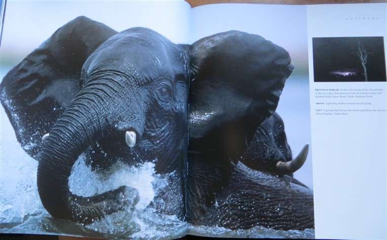 African Safari - Into the Great Game Reserves - Peter & Beverley Pickford - Hardcover
