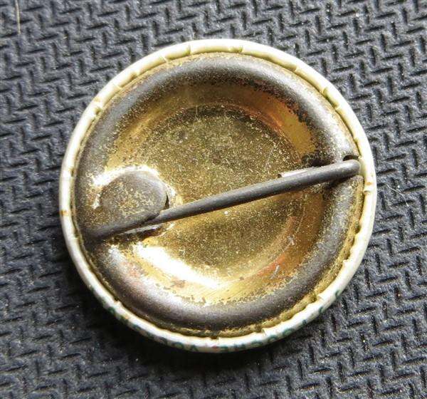 Vierkleur Lapel Badge