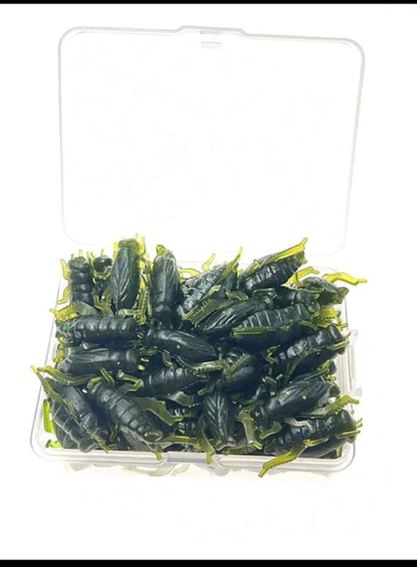 60pc Crickets baits**fishing*