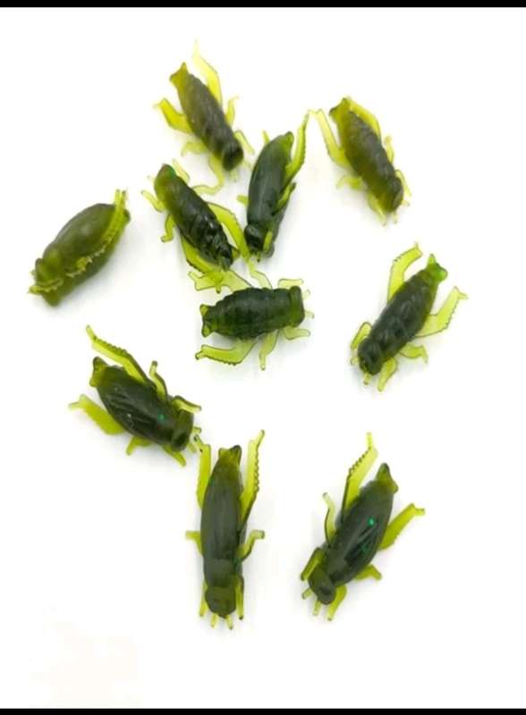 60pc Crickets baits**fishing*