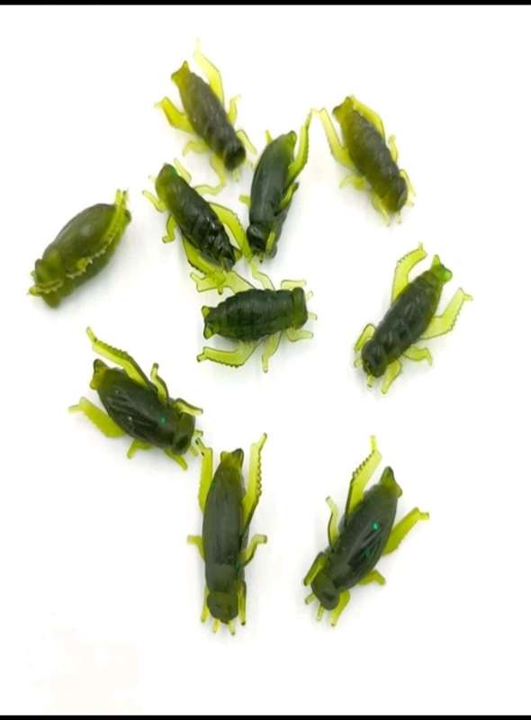 60pc Crickets baits**fishing*