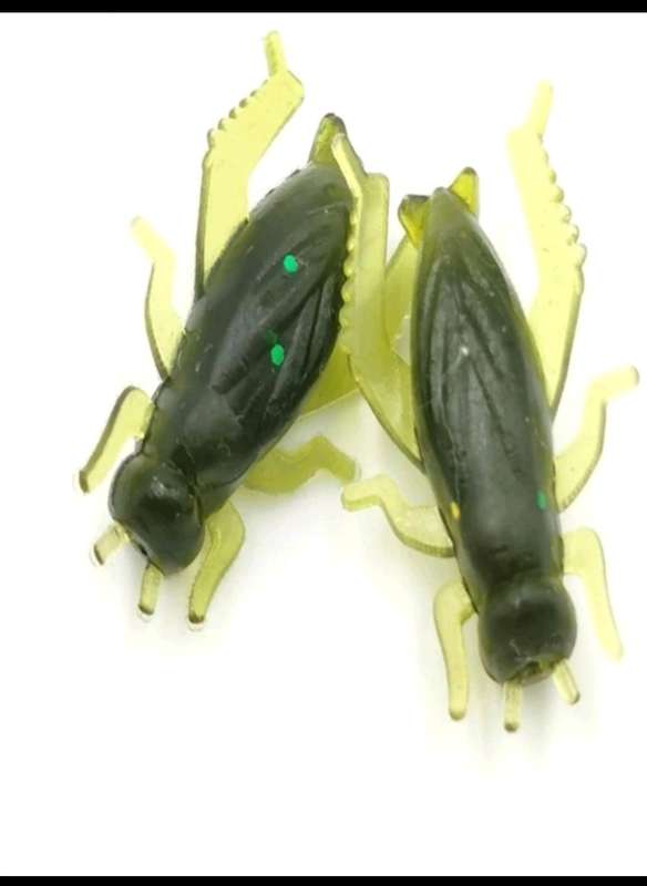 60pc Crickets baits**fishing*