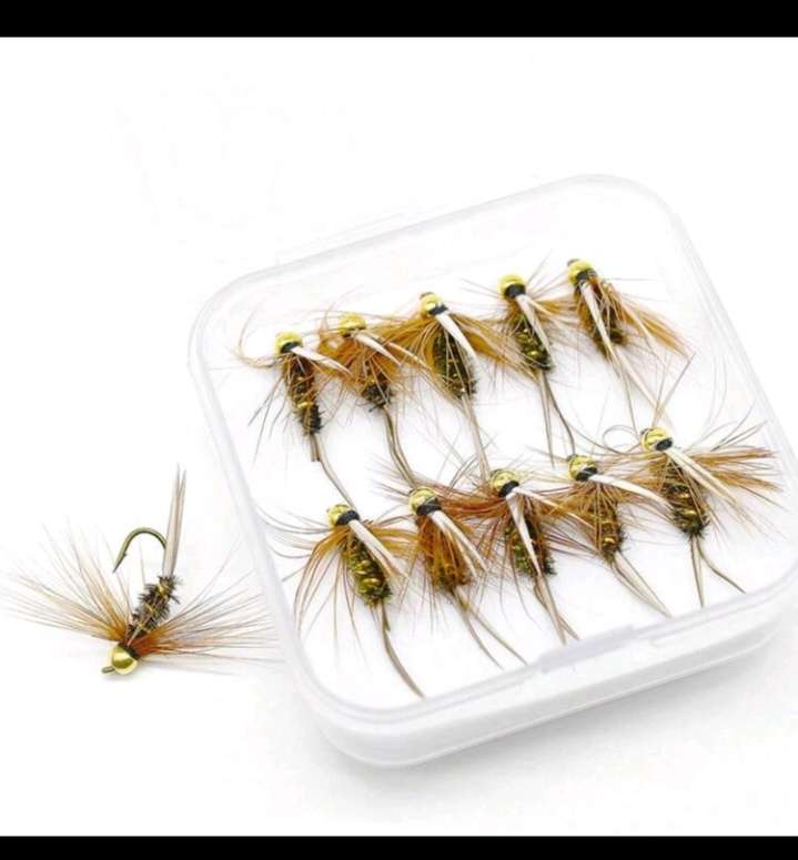 10pc Baits