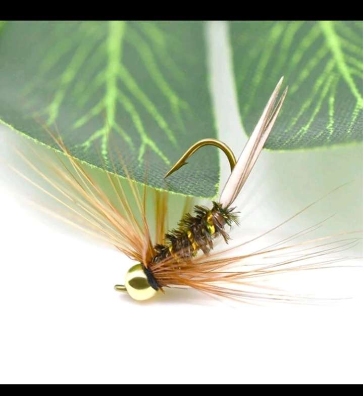 10pc Baits