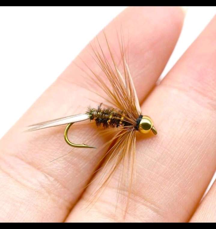 10pc Baits