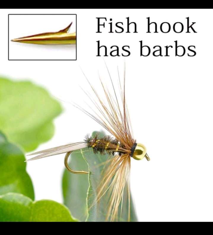 10pc Baits