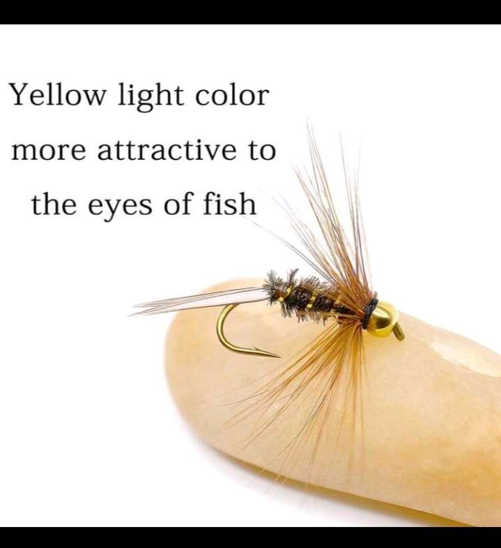 10pc Baits