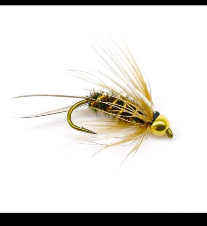 10pc Baits