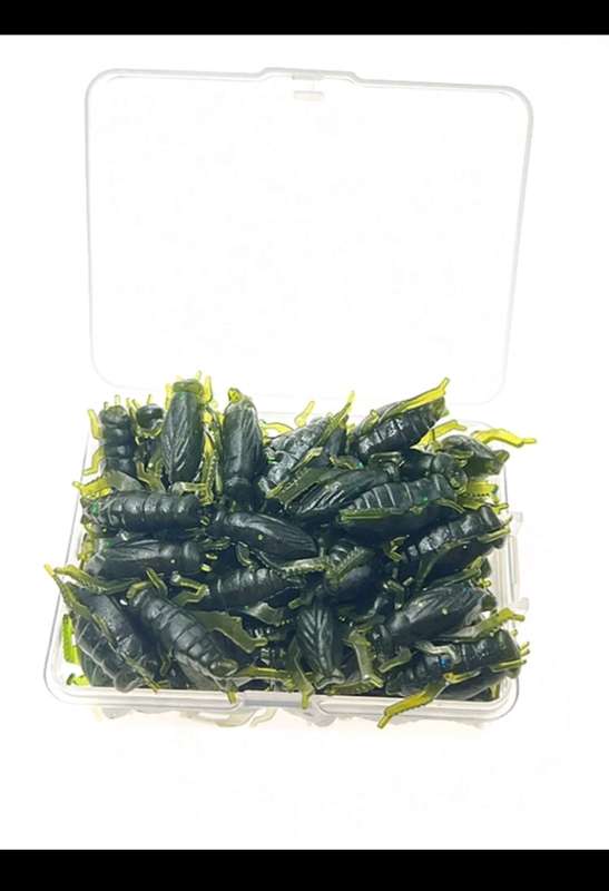 60pc cricket bait for fishing