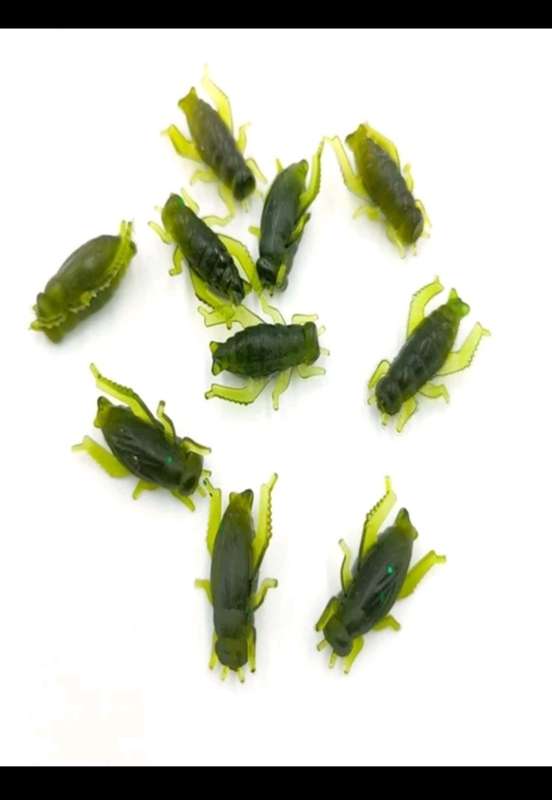 60pc cricket bait for fishing