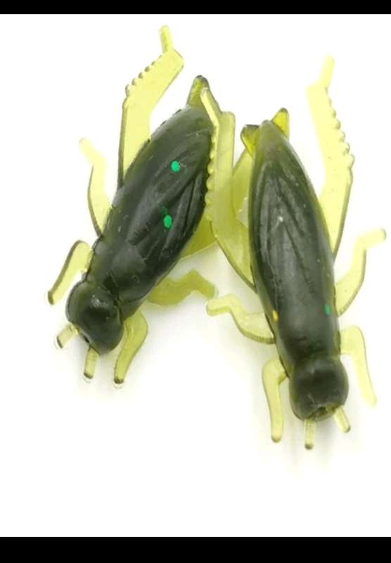 60pc cricket bait for fishing