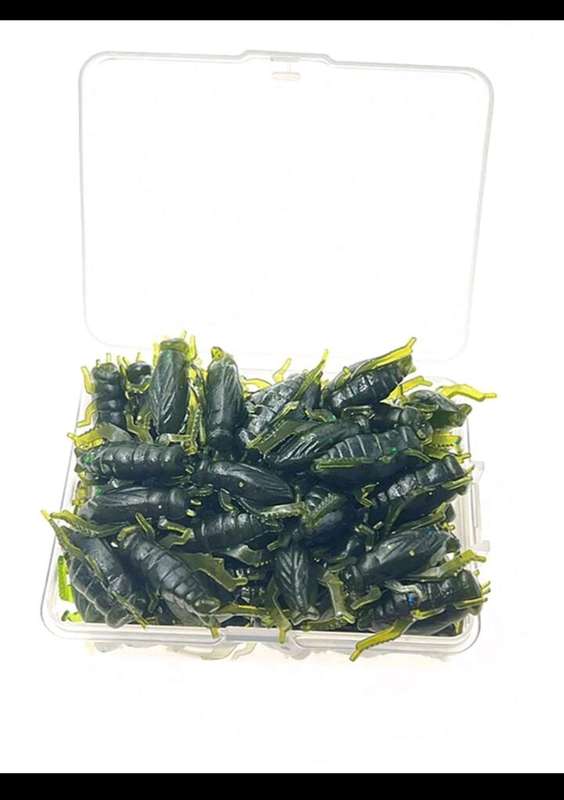 60pc cricket bait for fishing