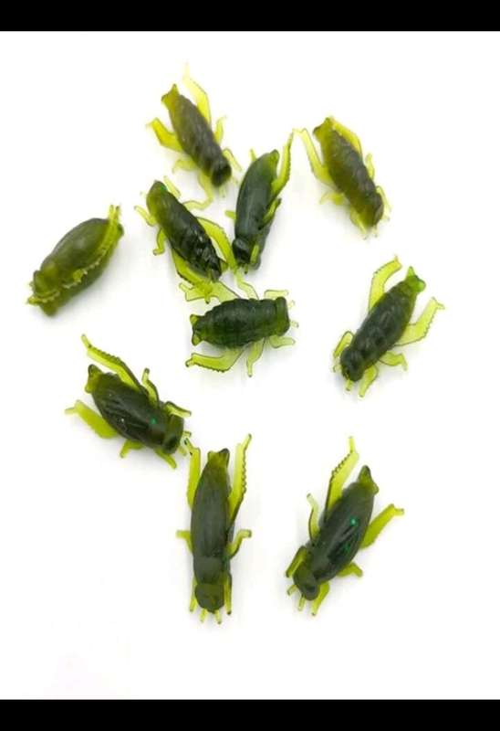 60pc cricket bait for fishing