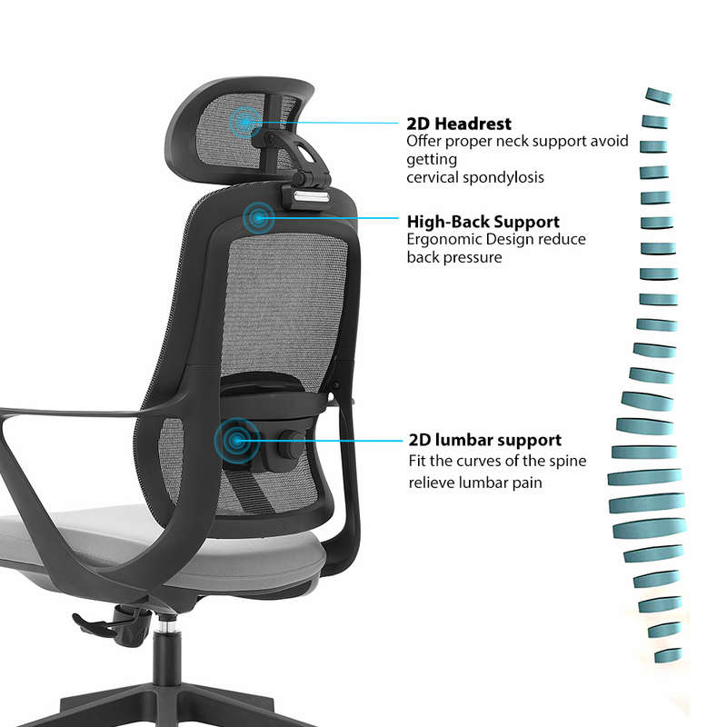 Cassie High Back Ergonomic Office Chair