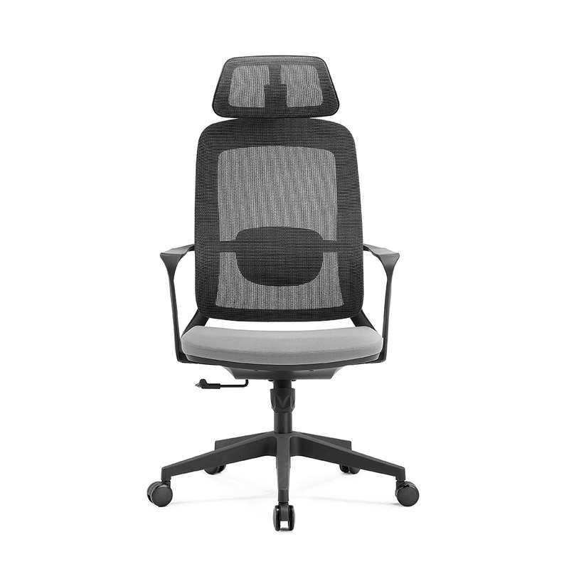 Cassie High Back Ergonomic Office Chair