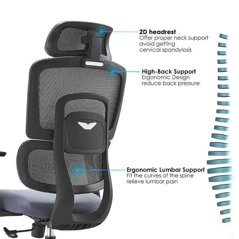 Gary High Back Ergonomic Office Chair