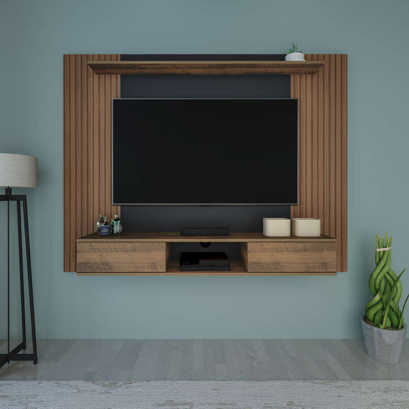 Nevada TV Panel