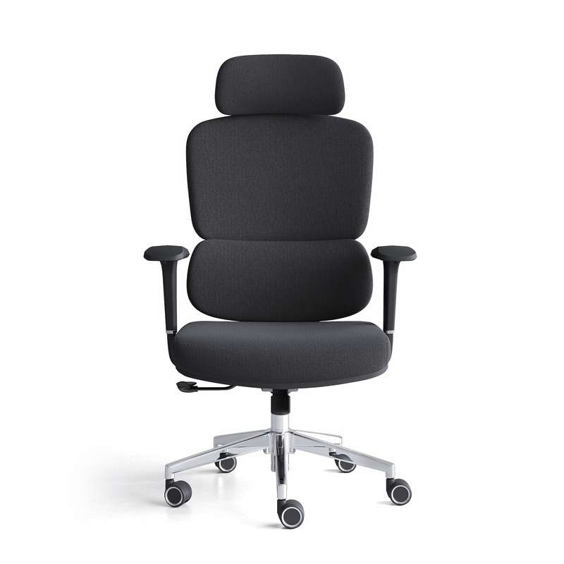 Robbin High Back Ergonomic Office Chair - Black