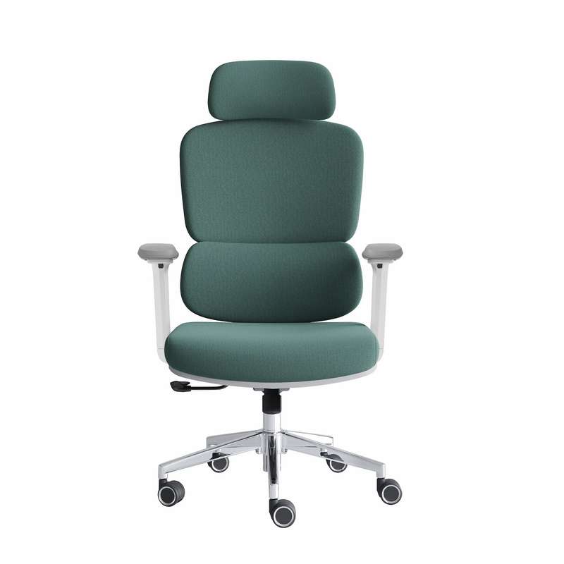 Robbin High Back Ergonomic Office Chair - Green